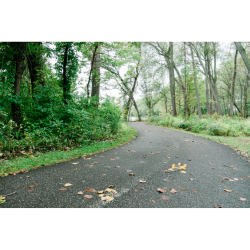 Recognition of Prior Learning Pathway