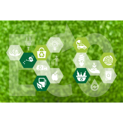 Sustainability - Environmental, Social & Governance